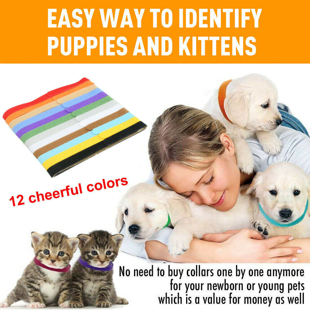 NEW 12 Colours Whelping ID Bands Pet Puppy Kitten Identification Collar Tags