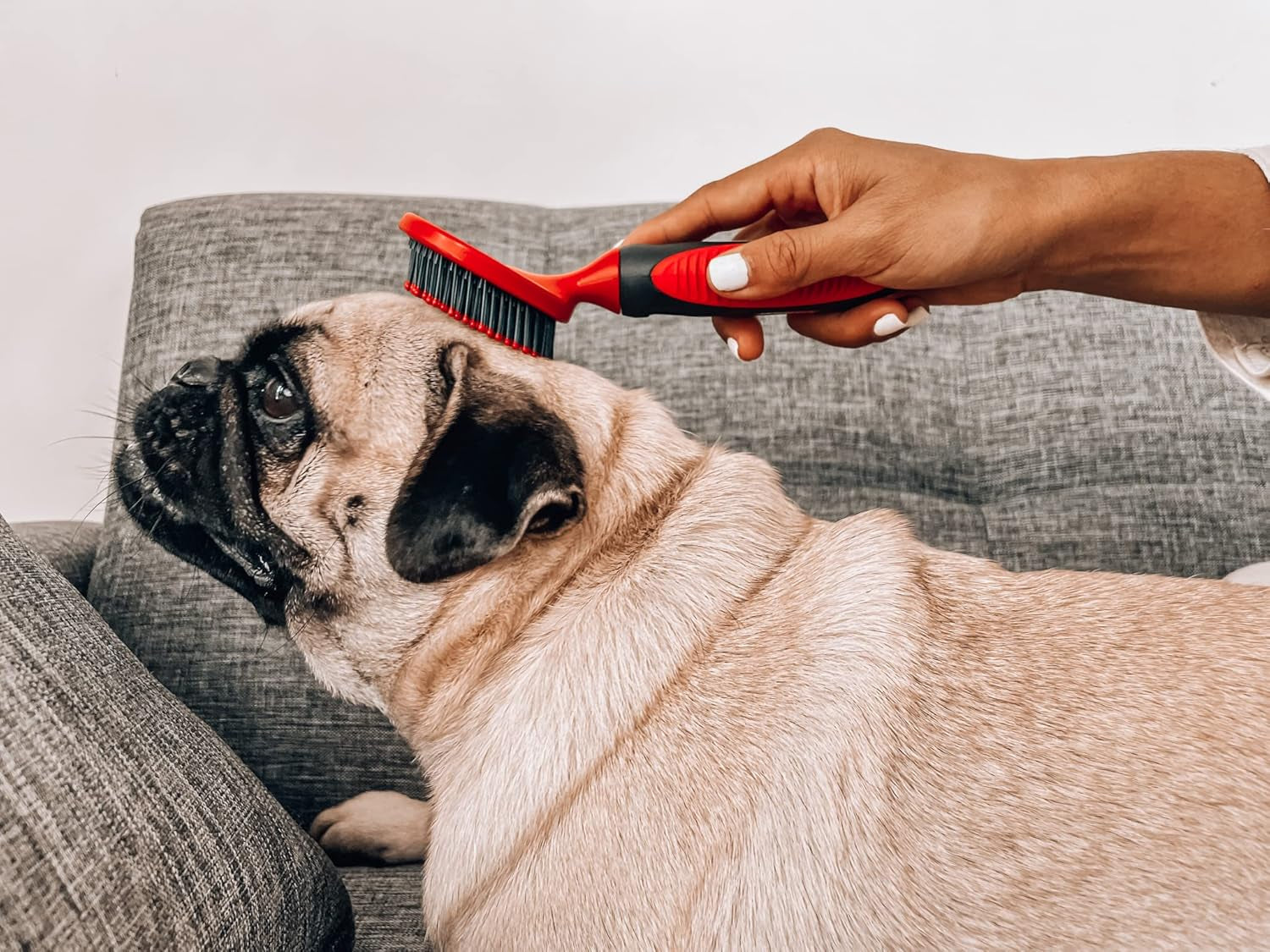 round Bristle Soft Brush for Dogs and Cats | Gentle Grooming for Short or Long Hair | Soft Pin Tool for Sensitive Skin | Detangle & Remove Loose Fur | for Dematting & Detangling Undercoat