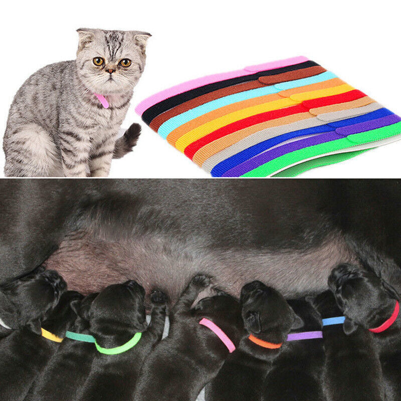 NEW 12 Colours Whelping ID Bands Pet Puppy Kitten Identification Collar Tags