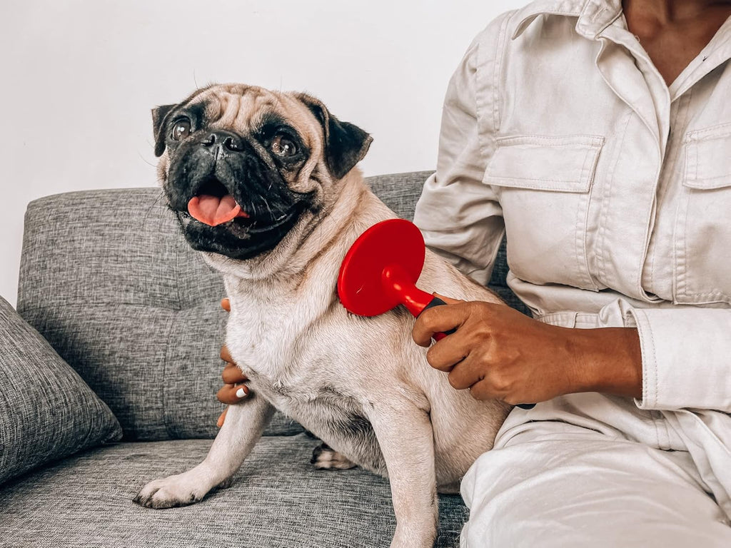 round Bristle Soft Brush for Dogs and Cats | Gentle Grooming for Short or Long Hair | Soft Pin Tool for Sensitive Skin | Detangle & Remove Loose Fur | for Dematting & Detangling Undercoat