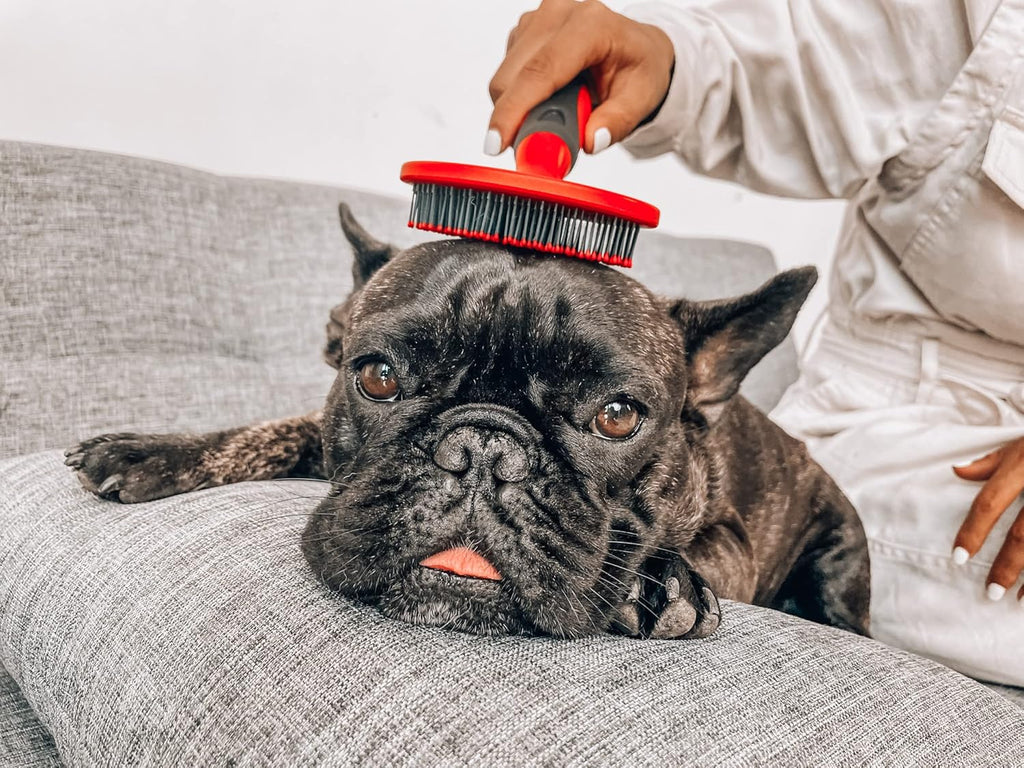 round Bristle Soft Brush for Dogs and Cats | Gentle Grooming for Short or Long Hair | Soft Pin Tool for Sensitive Skin | Detangle & Remove Loose Fur | for Dematting & Detangling Undercoat
