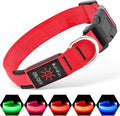 Light up Dog Collar - USB Rechargeable LED Dog Collar Glow in the Dark, Adjustable Pet Collar Light for Night Walking (Red, Medium)